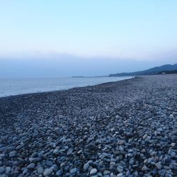 ヒラメ不発でサゴシ。