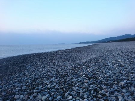 ヒラメ不発でサゴシ。