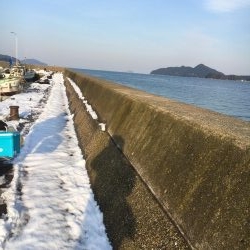 寒波の中休み？