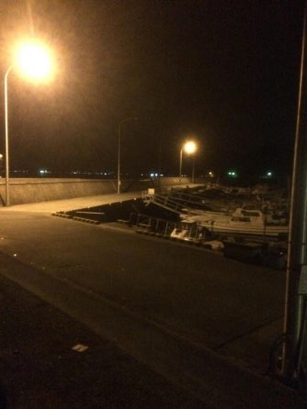 メバリング&タチウオ