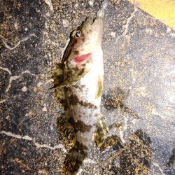 ちびっ子たちと