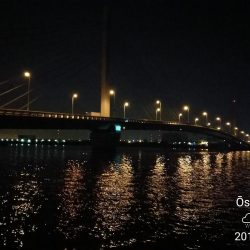 カモメ大橋でのヘチ釣り と カモメ大橋釣り場のご報告(2/15~3/3釣り場閉鎖らしい。)