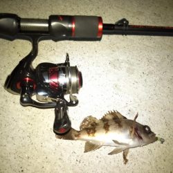 メバリング日和？な夜