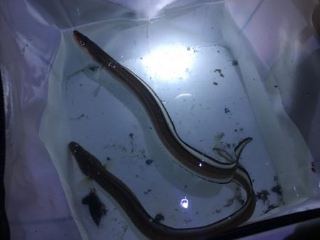 出張帰りに。。。