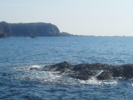 グレ・サンノジ・・渋いですよ！
