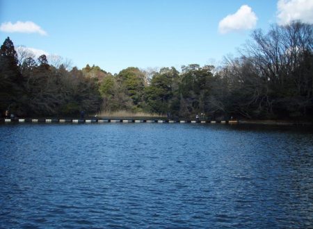 大安トラウトレイク 釣果