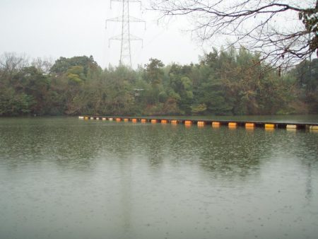 大安トラウトレイク 釣果