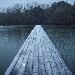 大安トラウトレイク 釣果
