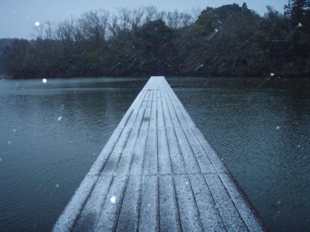 大安トラウトレイク 釣果
