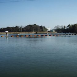 大安トラウトレイク 釣果