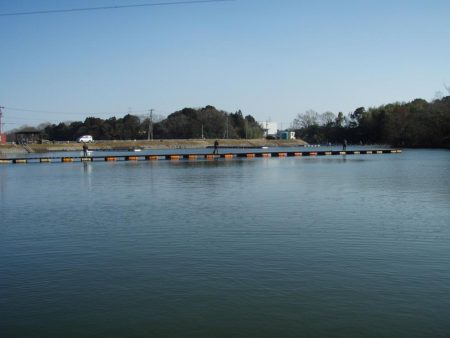 大安トラウトレイク 釣果