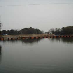 大安トラウトレイク 釣果