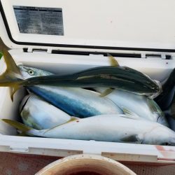 遊漁船　ニライカナイ 釣果