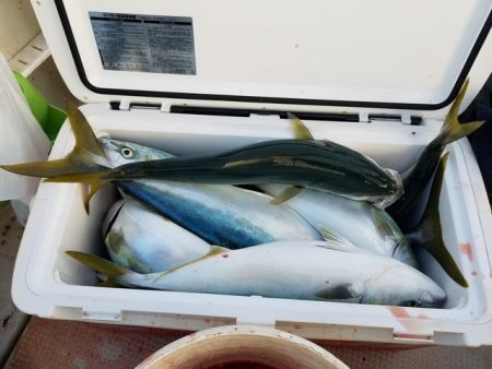 遊漁船　ニライカナイ 釣果