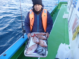 久里浜黒川本家 釣果