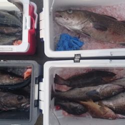 気仙沼　つり丸 釣果