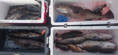 気仙沼　つり丸 釣果