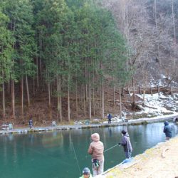 小菅トラウトガーデン 釣果