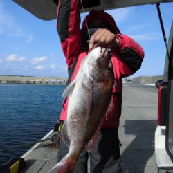 大進丸（新潟） 釣果