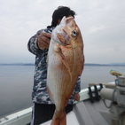 フィッシング太陽 釣果