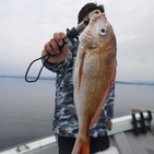 フィッシング太陽 釣果