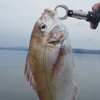 フィッシング太陽 釣果