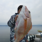 フィッシング太陽 釣果