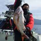 フィッシング太陽 釣果