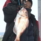 フィッシング太陽 釣果