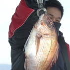 フィッシング太陽 釣果