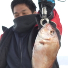 フィッシング太陽 釣果