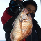 フィッシング太陽 釣果