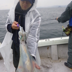 フィッシング太陽 釣果