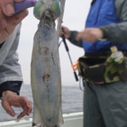 フィッシング太陽 釣果