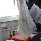 フィッシング太陽 釣果