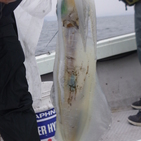 フィッシング太陽 釣果