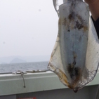 フィッシング太陽 釣果