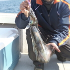 フィッシング太陽 釣果