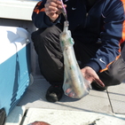 フィッシング太陽 釣果