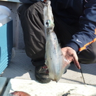 フィッシング太陽 釣果