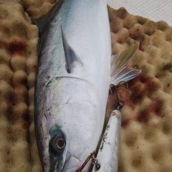 秀漁丸 釣果