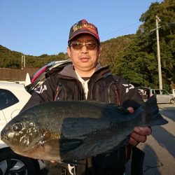 千津丸 釣果