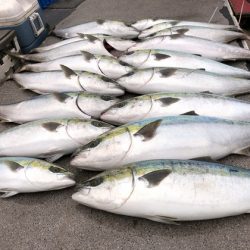 幸風（さちかぜ） 釣果