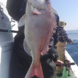 遊漁船 新鋭丸 釣果