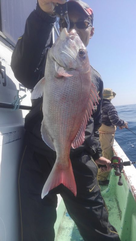 遊漁船 新鋭丸 釣果