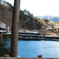 小菅トラウトガーデン 釣果