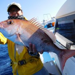 海晴丸 釣果