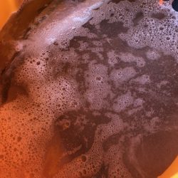 フィッシングボートACE(エース) 釣果