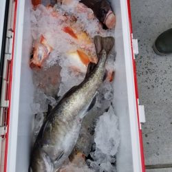 第三隆栄丸 釣果