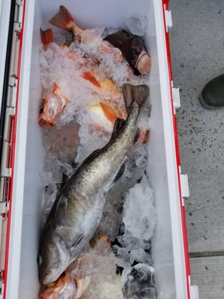 第三隆栄丸 釣果